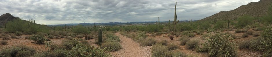 Arizona Trail Out and Back