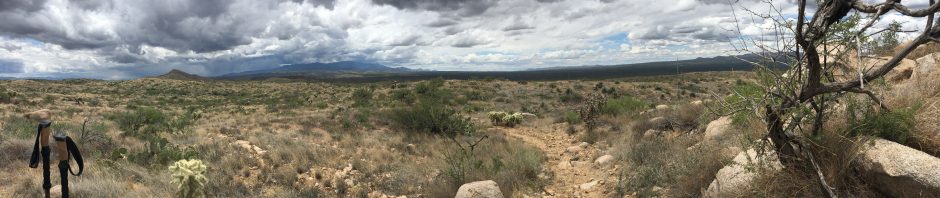 Arizona Trail Out and Back